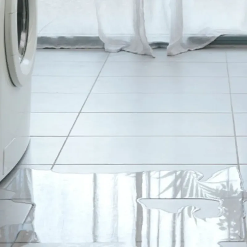 Appliance Leak Cleanup in Grayson, GA